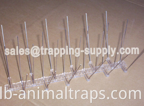 Polycarbonate Base Stainless steel Bird Spike